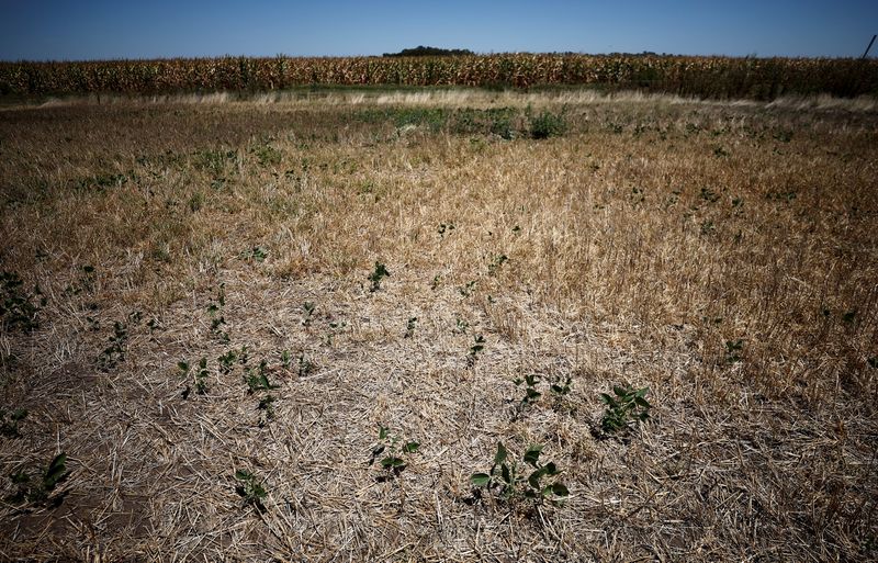 Brazil warns Trump effect risks 'triple negative' for climate