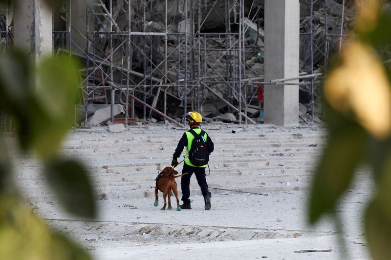 Thai search dogs go from sniffing to soothing at collapsed tower site