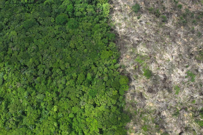 &copy; Reuters. Área desmatada da Floresta Amazônica, no Brasiln21/01/2023nREUTERS/Ueslei Marcelino