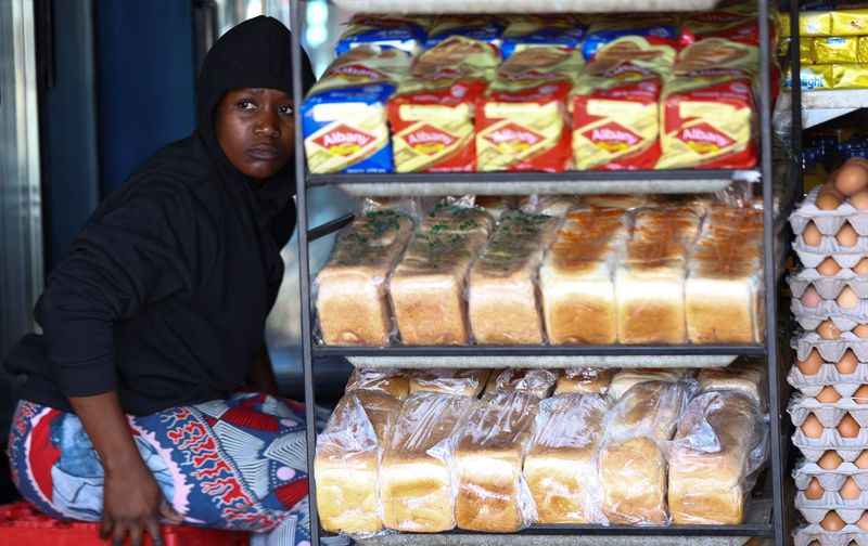 Sub-Saharan Africa’s major economies hit by high finance costs, Moody’s says