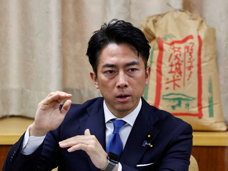 Japan’s Koizumi, Hayashi run for leadership of ruling party