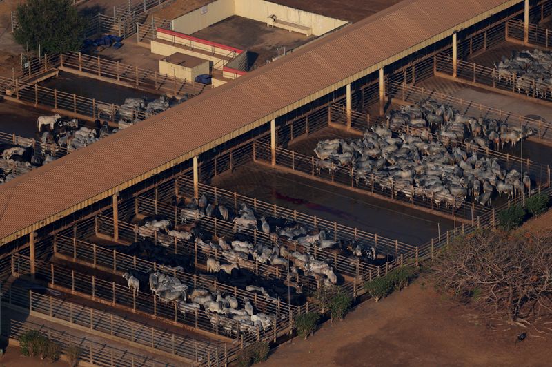 Brazil’s beef exports to US to fall further in September after tariffs, industry group says