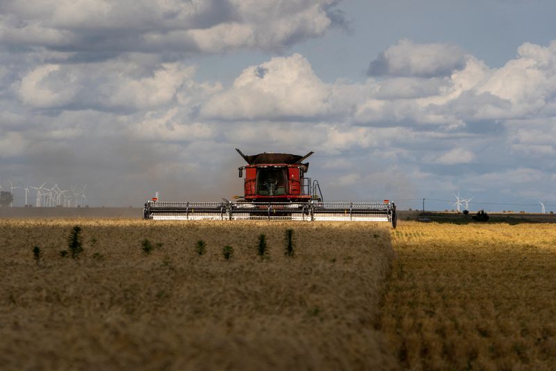 Trump tariffs could fund bailout for US farmers, agriculture secretary tells FT