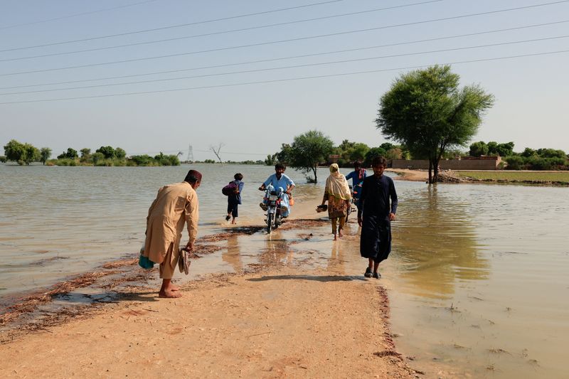 Pakistan floods batter fields, factories and fiscal plans