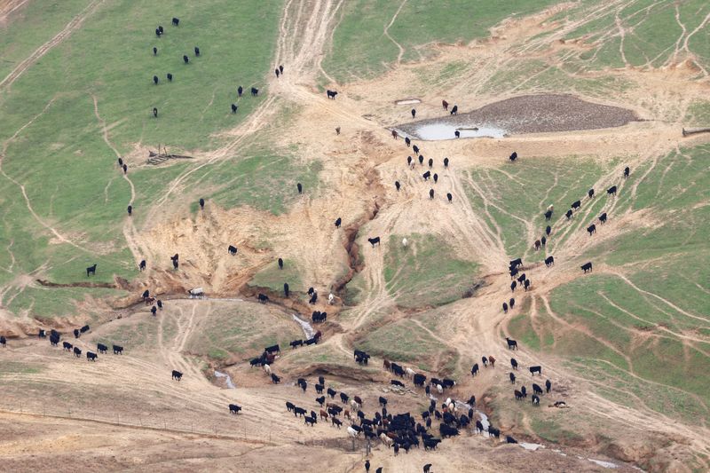 USDA plan to rebuild beef herd will not include producer payments, says farm secretary