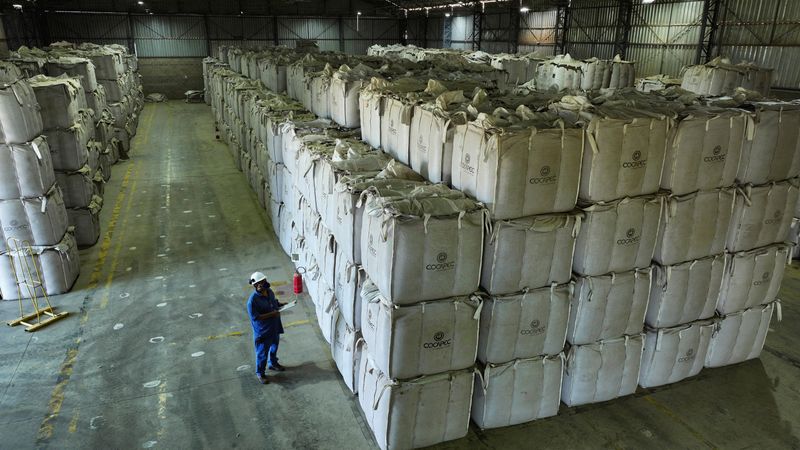 Brazil coffee exports to US to fall further if tariffs stay, Cecafe president says