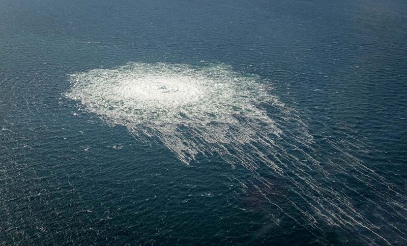 Ukrainian diver wanted over Nord Stream explosions detained in Poland