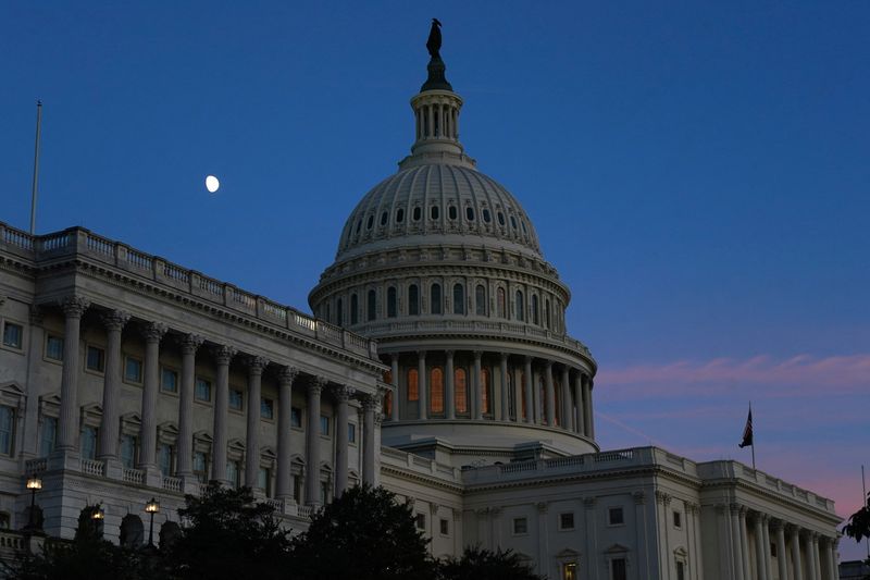 Morning Bid: US politics can’t shut down the animal spirits